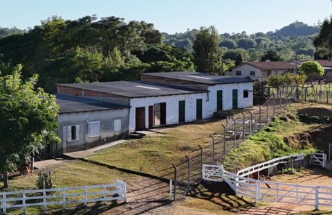 Vendas Bairro  Carolina – Av. Brasília