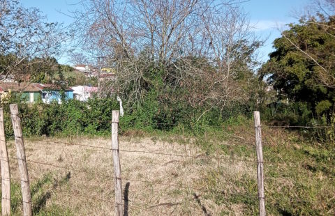 Vendas Terreno Rua Marcos Rodrigues