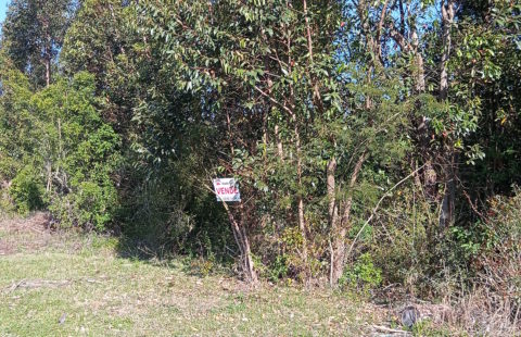 Vendas Terrenos Palomas 1° Distrito em frente a estação do trem da Ferradura dos Vinhedos Almadén