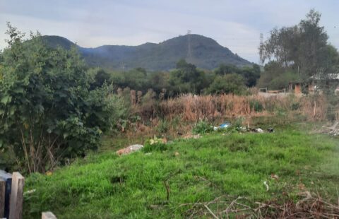 Vendas Terreno  Vila João Duarte Rua Mariano Brum