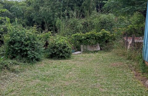 Vendas  Terreno Tabatinga  Rua Jardim das Flores  (próximo ao Posto de Saúde)