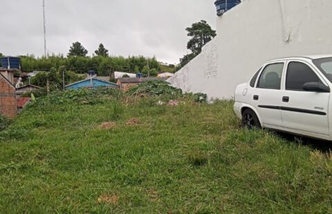 Vendas – Terreno – Bairro  Divisa (próximo ao Ginásio  da AABB) Rua Bejamin Cabello