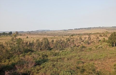 Aluguel  Terreno Porto Seco- Avenida Intendente Altivo Esteves, acesso ao  Porto Seco, Terminal Aduaneiro