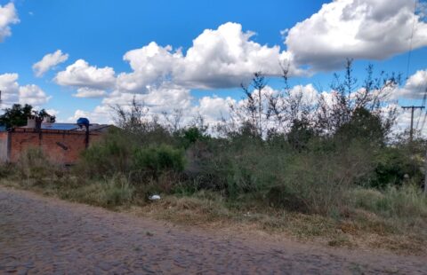 Vendas –  Terreno – Armour – Severo de Abreu  Carmen S Oliveira esquina Doralvino Nunes continuação- Rua  Agustin Peniza