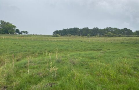 Vendas  Chácara KM5 Estrada Robledo Braz (Passando o Parque Aquático e Thermal  Amesterland)