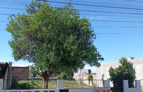 Vendas Terreno Athenas La Hire Guerra