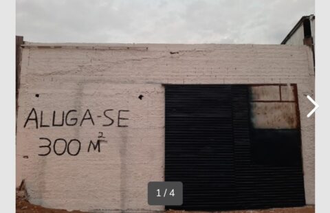 Benjamin Cabelo nº 281 – Prado