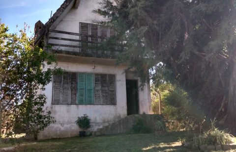 Rua Pércio Peducci, n° 272 – Armour